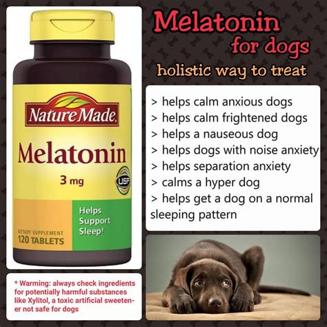  Monitor Your Pet To know how melatonin is affecting your dog or cat, you need to watch them carefully