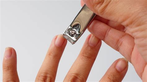  Monthly nail trimming is usually sufficient to keep nails from growing too long