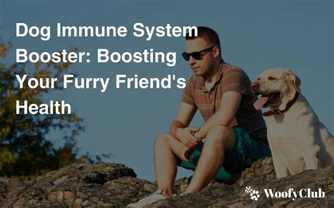  Moreover, IBS can compromise the immune system of your furry friend