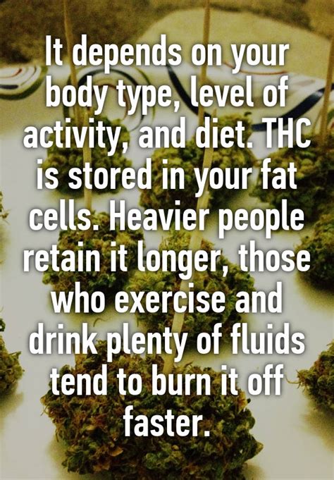  Moreover, regular exercise helps reduce the amount of THC stored in fat cells