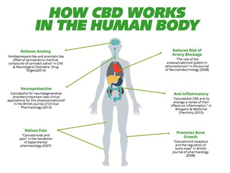  Moreover, there is ever-increasing evidence from various studies that CBD works, and its mode of action is similar to humans