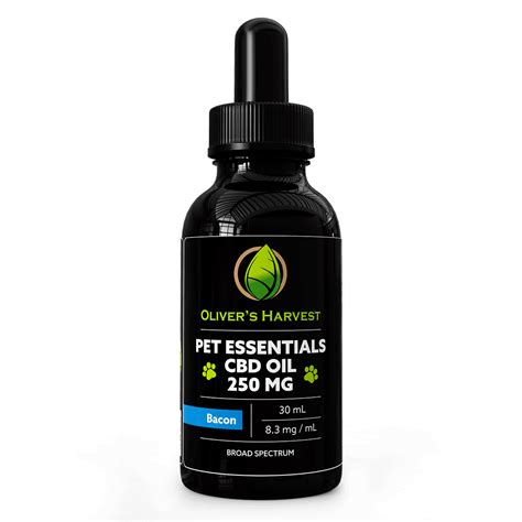 Most CBD oil for dogs comes in a tincture form that can be added to food or given directly to your pet by mouth