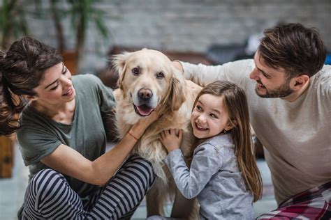  Most dog owners would agree that their pet is part of their family, which is why choosing a safe and effective CBD pet product is so important