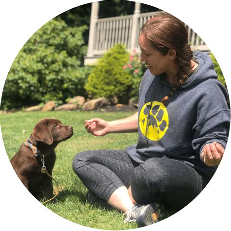  My passion for dogs and expertise in areas such as nutrition, care, and training drives my goal of providing a helpful resource for dog owners through my pet website