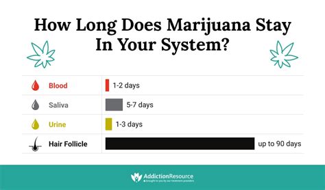  Myth: All marijuana stays in your system the same amount of time Fact: Some strains of marijuana will stay in your system longer than others Drug tests for marijuana measure THC levels in your body, and every strain of marijuana has varying amounts of THC
