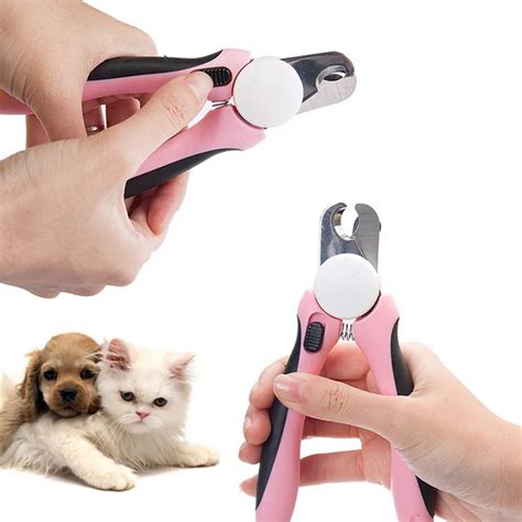  Nail clippers and a doggy toothbrush are good investments, too