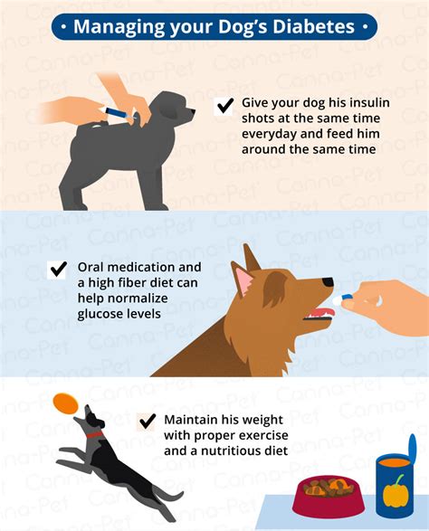  Natural Managing Pet Diabetes A diabetes diagnosis for your pet can be a difficult one to hear from your vet