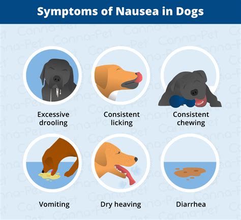  Nausea When pets feel nauseous, they often cannot explain the sensation
