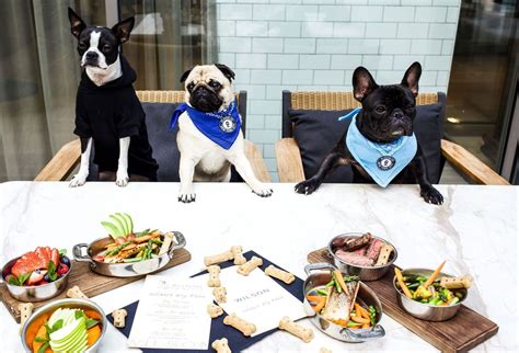  New York has a fantastic dog community featuring numerous dog-friendly restaurants, parks, and events perfect for you and your four-legged friend