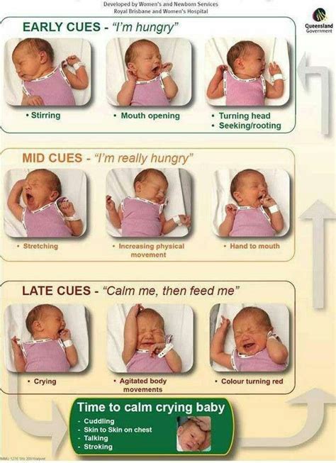  Newborns generally nurse every 2 hours but even while doing so they will have their eyes shut and look as though they are eating in their sleep