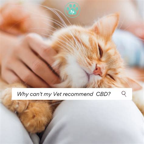  No, CBD is not recommended by veterinarians because they are not legally allowed to recommend or prescribe CBD for dogs with arthritis