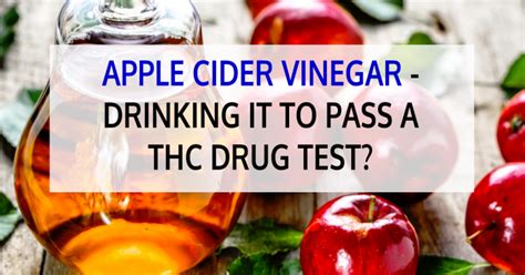  No evidence supports the claim that apple cider vinegar can help someone pass a drug test