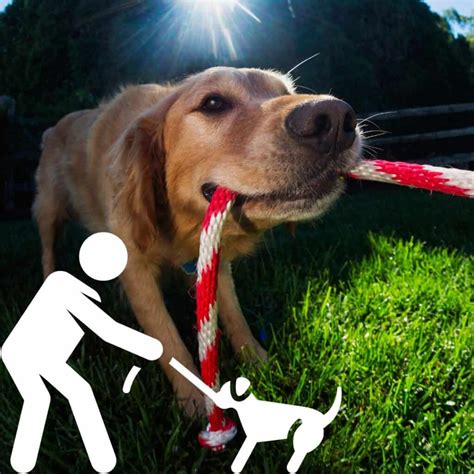  Now, you and your dog can use it to play tug of war