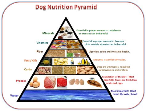  Nutritional Value When it comes to nutritional value, we want dog food that has high-quality protein and carbohydrates