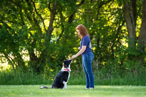  Obedience Training Obedience training helps us communicate with our dogs and informs them what behaviors are desired