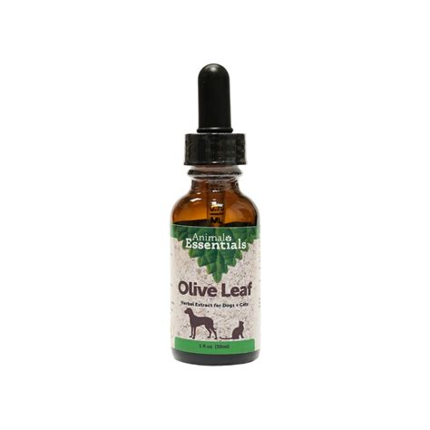  Olive Leaf Extract for Cats is helpful for cats with respiratory conditions including asthma, chronic upper respiratory infections URIs , allergies and feline viruses