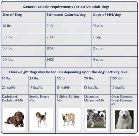  On average, a dog of this size with the same activity level will need roughly calories a day, which is about 2 cups worth