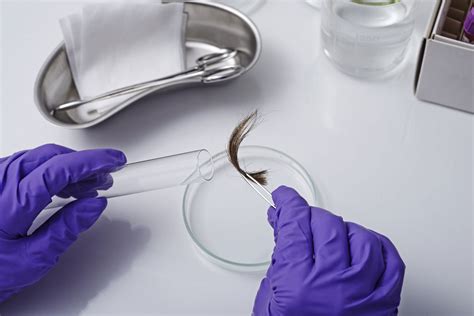  Once collected, hair samples are sent to a laboratory for testing