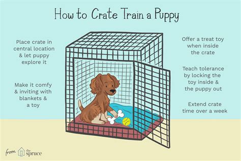  Once in the crate, give your puppy a treat and a special toy