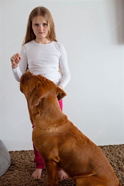  Once the dog obeys the command, you give them a reward, which could be a treat, a toy, or a praise reward