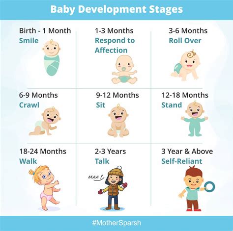  Once they reach 6 to 9 months, they are just at or are closer to reaching their adult weight, 