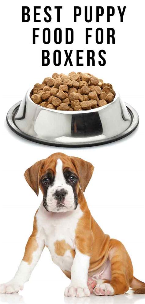  Once you choose a puppy food to feed your Boxer puppy, you should stick with it until you are ready to switch to adult food