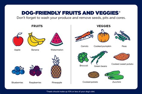  Opt for healthier options like small pieces of lean meat or fruits and vegetables that are safe for dogs