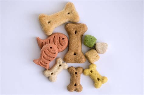  Opting for organic and high-quality dog treats ensures that your pet with dog allergies receives the best possible care
