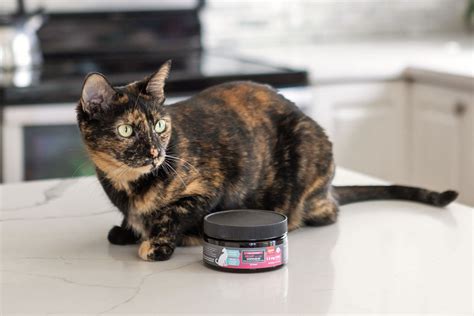  Or view the entire Primal Pets Supplement line up and find a product to support your pet! October 06, Brynn Masters Cats and dogs have been domesticated for over 10, years