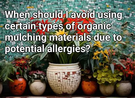  Organic and natural ingredients are preferable to avoid potential allergens or toxins