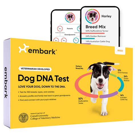 Organize a DNA test before taking the puppy home