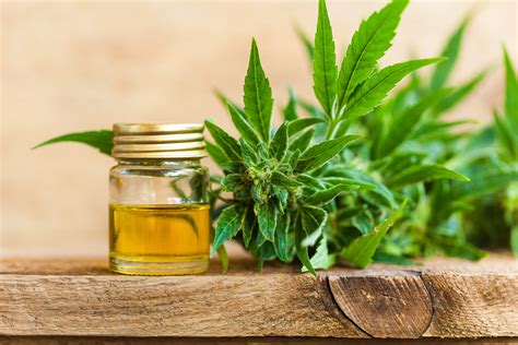  Other Ingredients Some human CBD oils contain various essential oils or artificial flavors to give it a more appealing taste