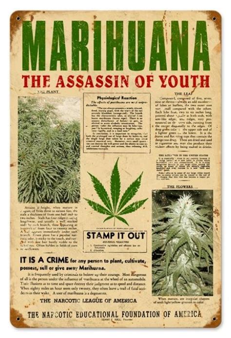  Other Relevant Articles about Marijuana