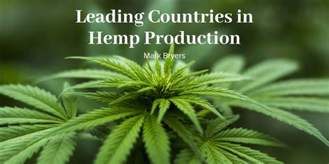  Other countries may not regulate hemp production as tightly as the US does