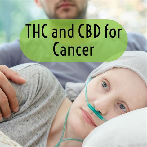  Other ongoing studies are also looking at how CBD could supplement cancer treatments, since it appears to be synergistic with some standard chemotherapy drugs