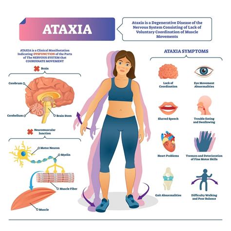  Other side effects include but are not limited to weakness, ataxia, severe weight loss canine anorexia , incoordination, cardiovascular issues, and respiratory issues