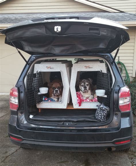  Our PNW dogs are brought to you in style by a beautiful USDA licensed semi-truck, equipped with air conditioning for comfort, two drivers, and 2 onboard attendants providing 24 hour care
