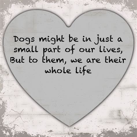  Our dogs are a very important part of our lives, they live in our homes