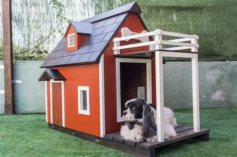  Our facility is climate controlled with doggy doors that allow access to the large fenced in yard