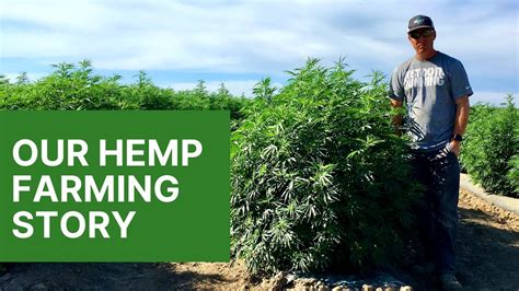  Our hemp is grown right here in the US, and our unique manufacturing process ensures all of our products are THC-free