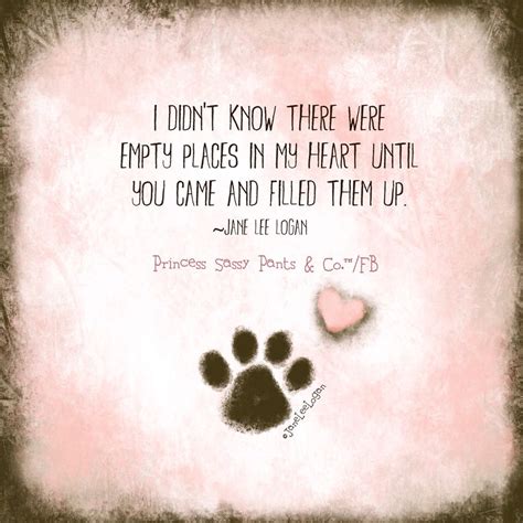  Our purpose is to find loving homes for our beloved fur babies