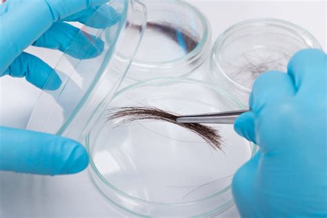  Our trained sample collectors will ensure that the correct individual is undergoing testing, and that the hair sample is real and indeed human! If you have plenty of time on your hands, the only sure way of passing a hair drug test is via a natural detox