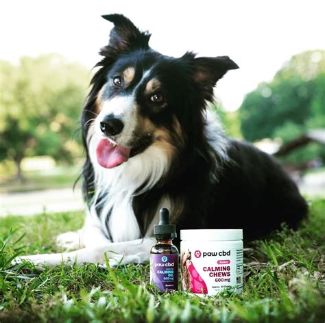  Our variety of chewables, hard chews, and tinctures will please even the fussiest eaters, making it easy and convenient for daily use
