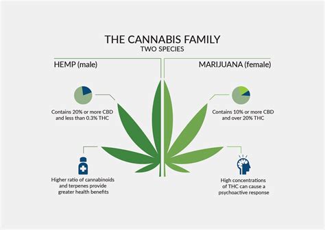  Our whole hemp plant approach means our products contain additional cannabinoids and terpenes found naturally in the hemp plant for maximum benefit
