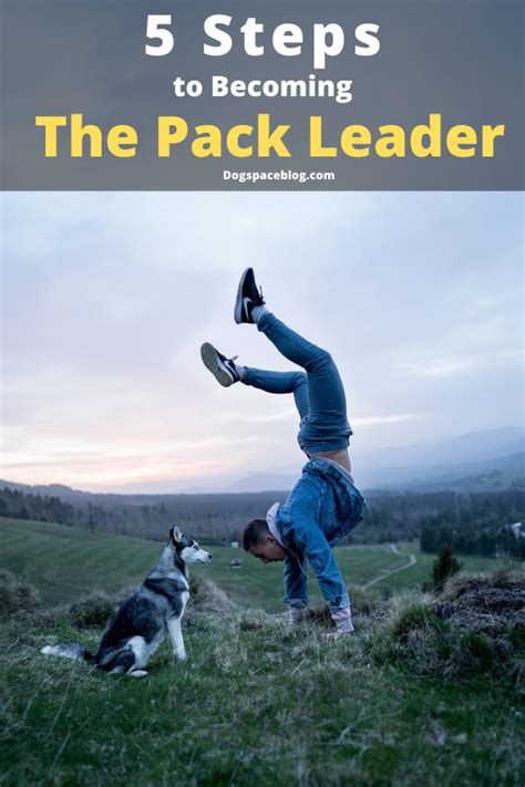  Owners must establish themselves as the pack leader to make the exercises easy
