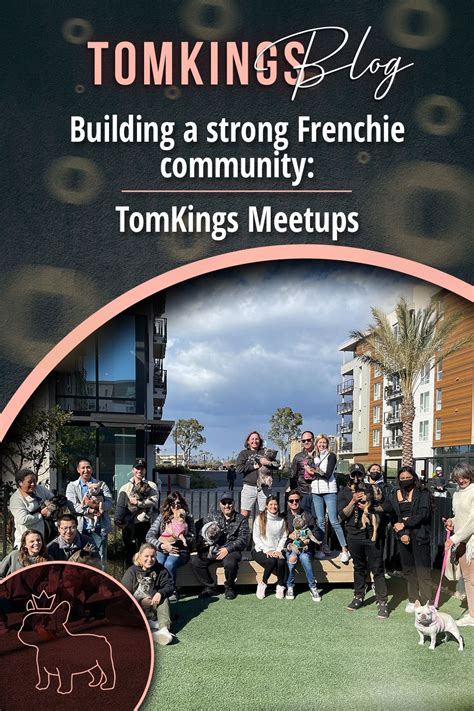  Participation in TomKings Frenchie Meetups We organize Frenchie Meetups in major cities throughout the States where you can talk with other TomKings Frenchie owners and exchange advice while your Frenchies are playing with each other