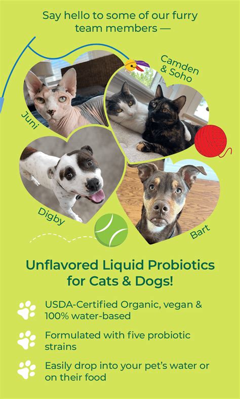  Partnered Process even has products formulated for your furry family members