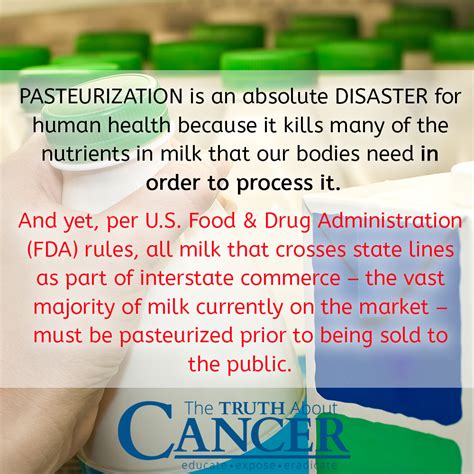  Pasteurized milk kills the live enzymes and nutrients needed to help digestion