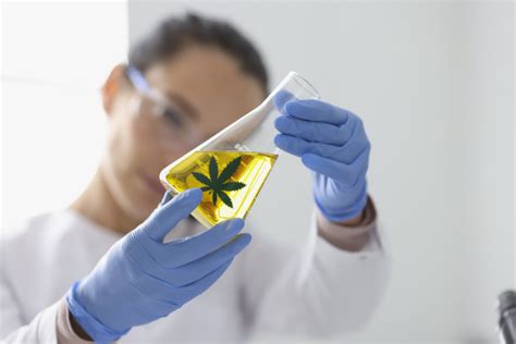  Pay Attention to Extraction Methods Separating compounds from a hemp plant is more challenging than flicking a magic wand