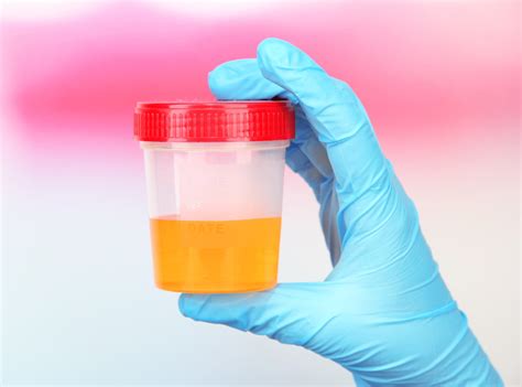  Pee tests do not measure the amount of drugs in urine; they measure the amount of metabolites in the urine
